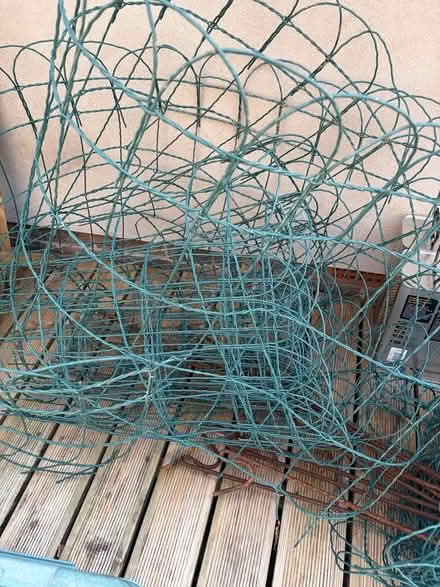 Photo of free Garden wire fence (Pembury TN2) #3