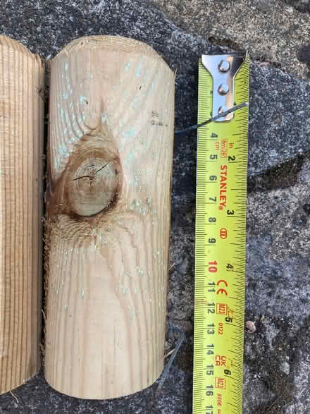 Photo of free Log edging for gardens (Enfield EN2) #4