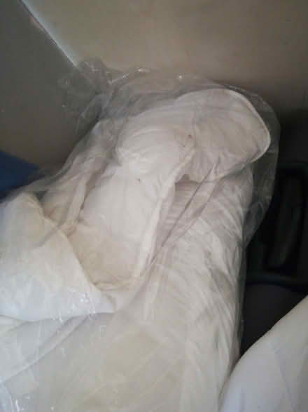 Photo of free Duvets (single and double) (New Marston OX3) #1