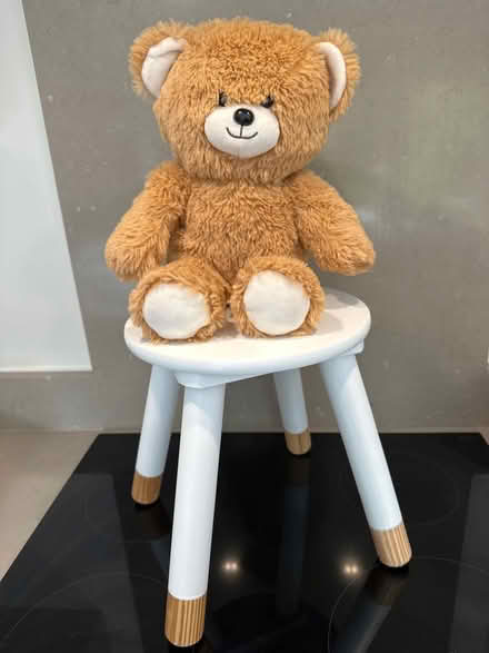 Photo of free Child’s stool and teddy bear (Woodford SK7) #1