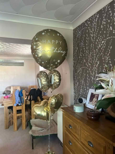 Photo of free Helium Birthday balloons (Upton upon severn WR8) #1