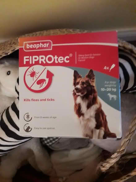 Photo of free Dog Toys x 10 & Fox Basket (Frampton Cotterell BS36) #3