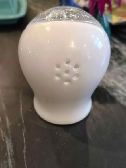 Photo of free Kosher Salt Shaker (Queen Anne) #2