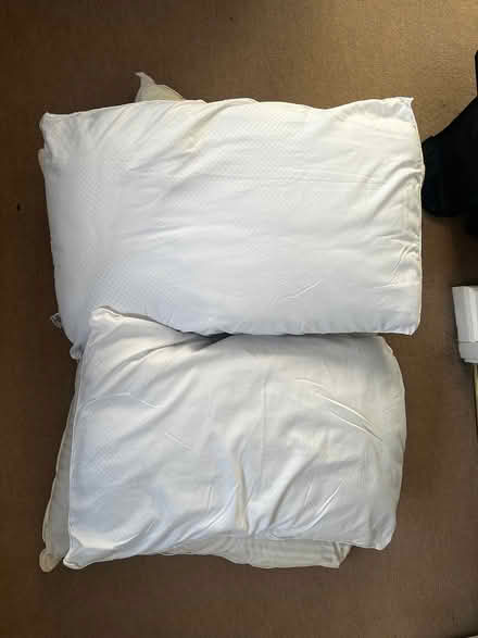 Photo of free 6 x pillows (Littlemore OX4 4) #1