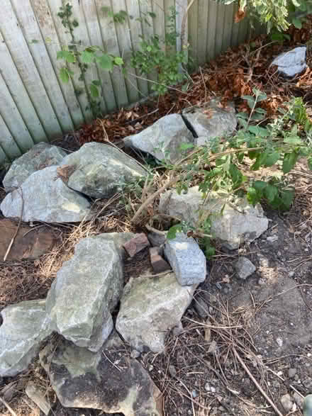 Photo of free Large rocks (Frimley Green) #1