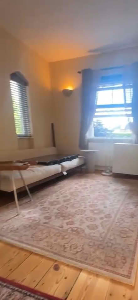 Photo of free Large Rug (Mentmore road LU7) #1