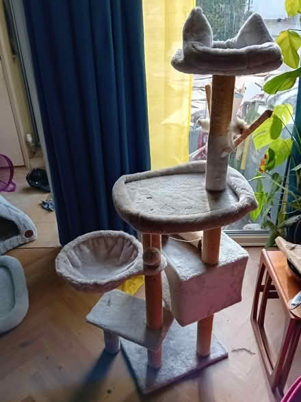 Photo of free Cat Tree, Window Perch & Igloo (Waddon CR0) #1