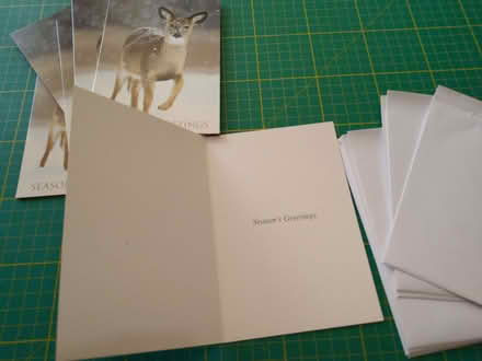 Photo of free Season's Greetings cards (West Croydon CR0) #2