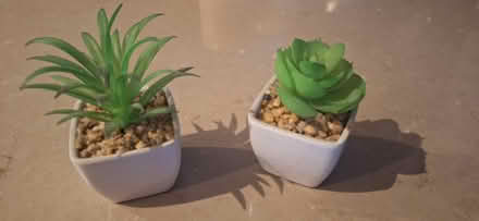Photo of free Little fake plants (TW8) #1