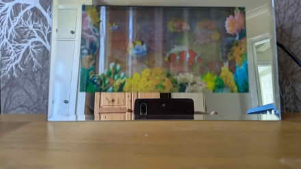 Photo of free Electronic Aquarium (Littleover DE23) #4