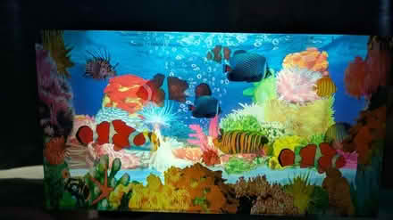 Photo of free Electronic Aquarium (Littleover DE23) #3