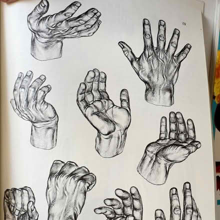 Photo of free Human Anatomy for Artists (Pharmacy and Eglinton area) #3