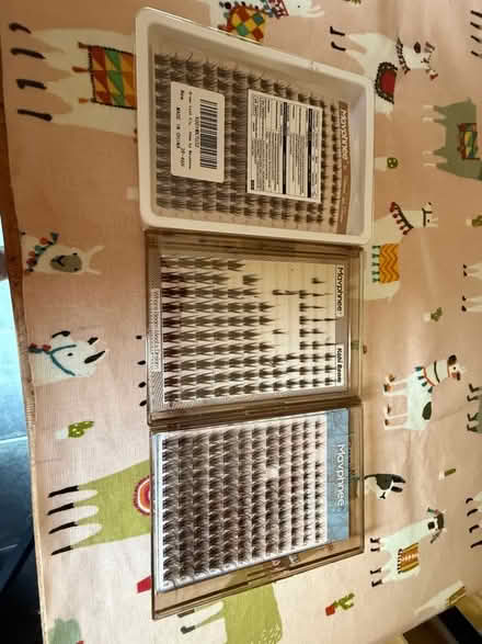 Photo of free Brown cluster lashes (Marshalswick AL4) #1