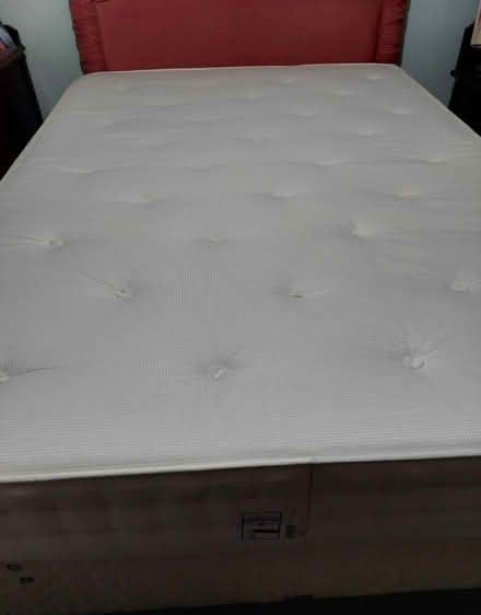 Photo of free Double bed (Colchester CO3) #2