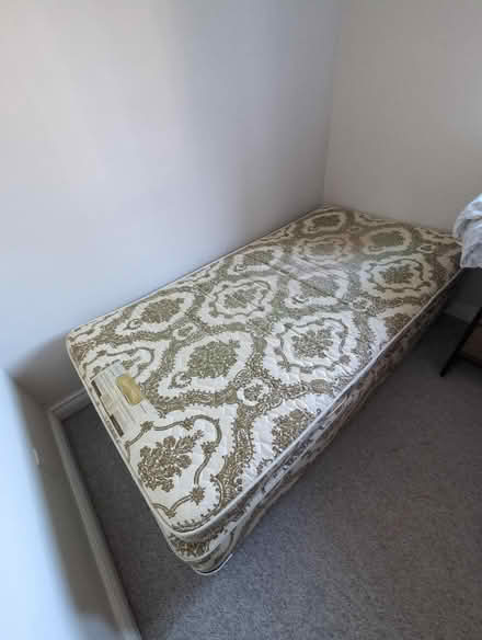 Photo of free Single bed (Glebe) #2