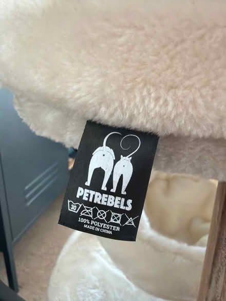 Photo of free Cat tree (North Road N7) #4
