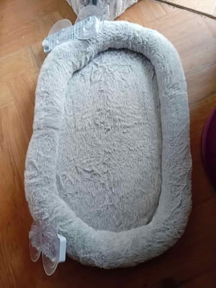 Photo of free Cat Tree, Window Perch & Igloo (Waddon CR0) #3