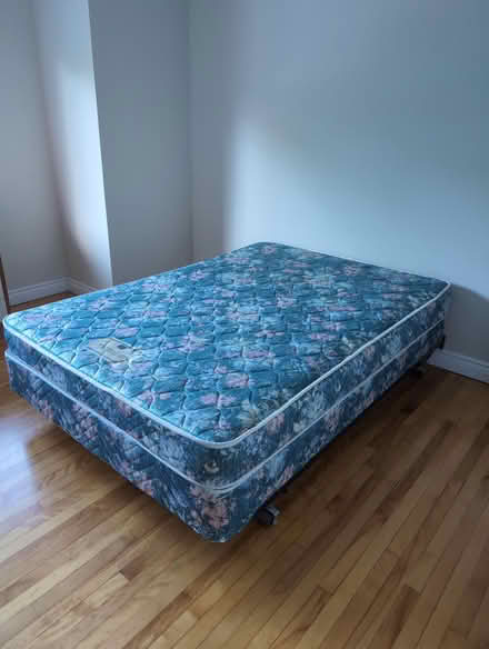Photo of free Excellent double bed (Glebe) #1