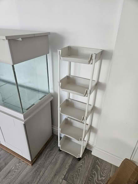 Photo of free Staking shelves (Snodland) #2