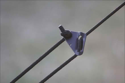 Photo of Tent string (Chorlton M21) #1