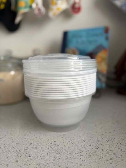 Photo of free Soup Takeaway Containers (Jane and Steeles) #1