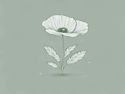 Photo of free Poppy Seeds (Friday Bridge PE14) #1