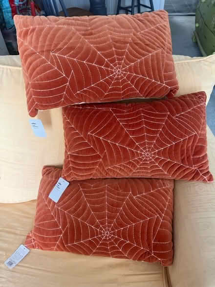 Photo of free Three New Cushions (Middle Deal CT14) #1