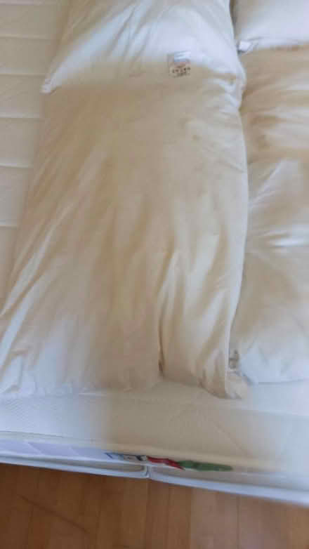 Photo of free Pillows (Flitton MK45) #2