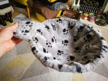 Photo of free Cat hanging bed (Hereford HR1) #3