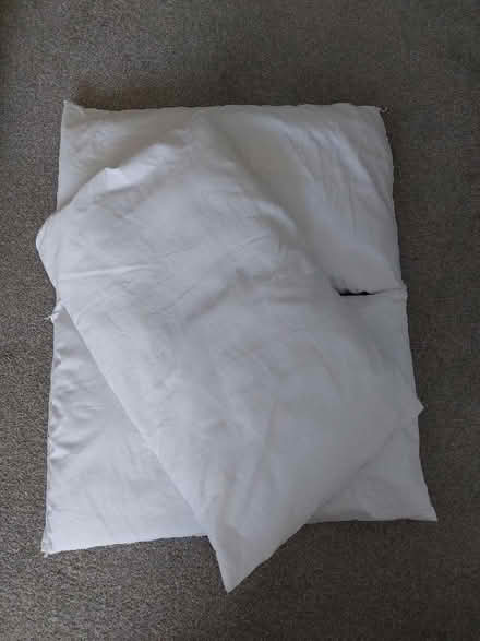 Photo of free Three clean pillows (Swaythling SO16) #1