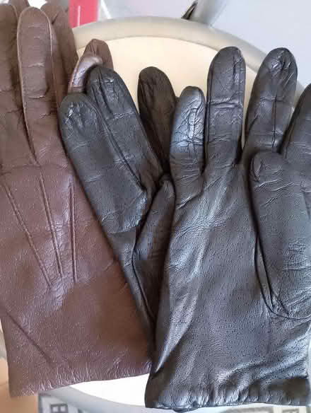 Photo of free Leather Gloves (Bransford WR6) #1