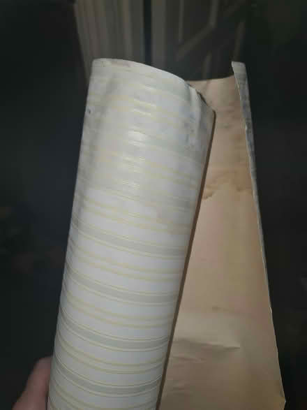 Photo of free Wallpaper with yellow+sage stripes (Hackney E8) #3