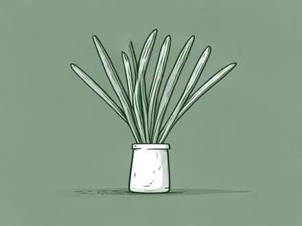 Photo of Chives (Havant PO9) #1