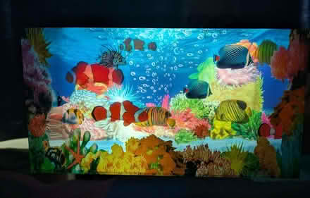 Photo of free Electronic Aquarium (Littleover DE23) #2