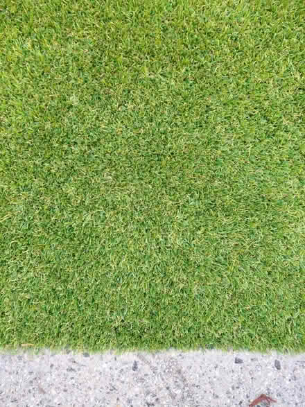 Photo of free New astro turf (Innaloo) #1