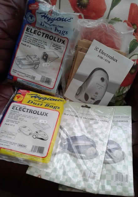 Photo of free Unopened packs of bags for Electrolux Hoovers (St Blazey Gate PL24) #1
