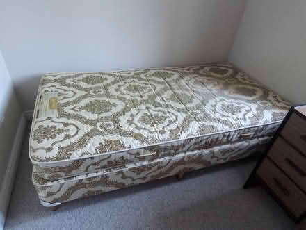 Photo of free Single bed (Glebe) #1