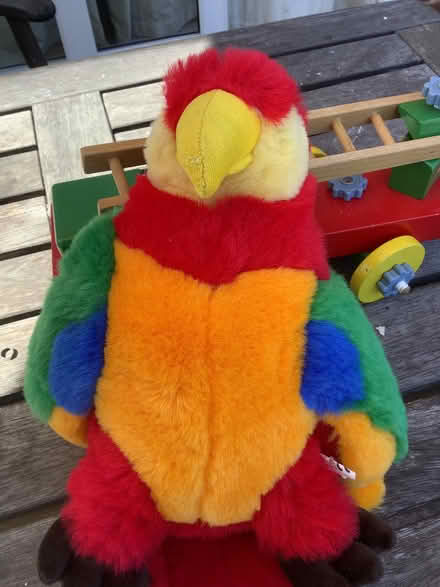 Photo of free Soft Toy Parrot. (Fernhill GU17) #2