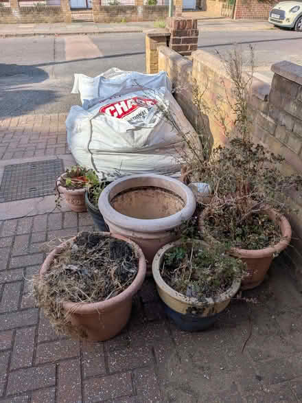 Photo of free Large ceramic garden pots (Ashford TW15) #1