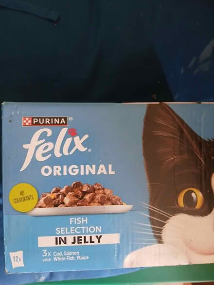 Photo of free Cat food (S10 Crookes) #1