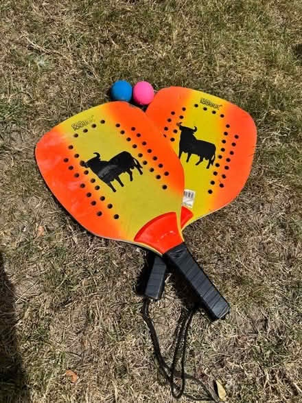 Photo of free Beach ball bats (Green Street Green BR6) #1