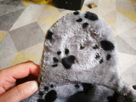 Photo of free Cat hanging bed (Hereford HR1) #2