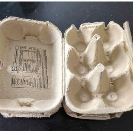 Photo of free Three eggboxes (Kempston MK42) #1