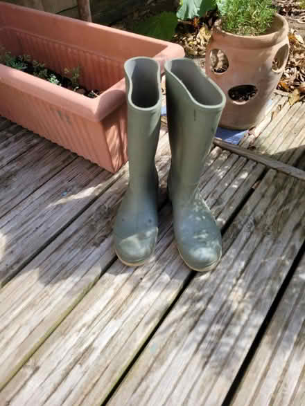 Photo of free Pair of wellington boots (BN43) #1