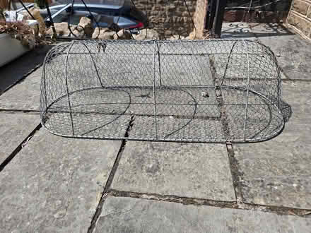 Photo of free Garden Vegetable Cover (NG5 sherwood notts) #1
