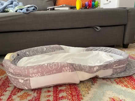 Photo of free Snuggle Baby nest (SE264EU) #2