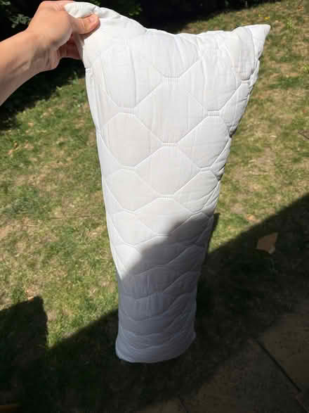 Photo of free Long pillow (South Croydon CR2) #1