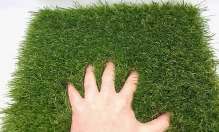Photo of Fake Turf Patch for dogs (Cosham PO6) #1