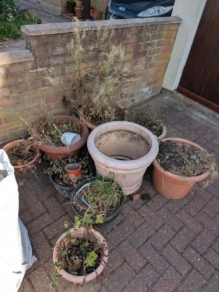 Photo of free Large ceramic garden pots (Ashford TW15) #2