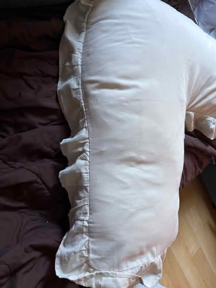 Photo of free Breast-feeding nursing pillow (L5L 5P5) #2